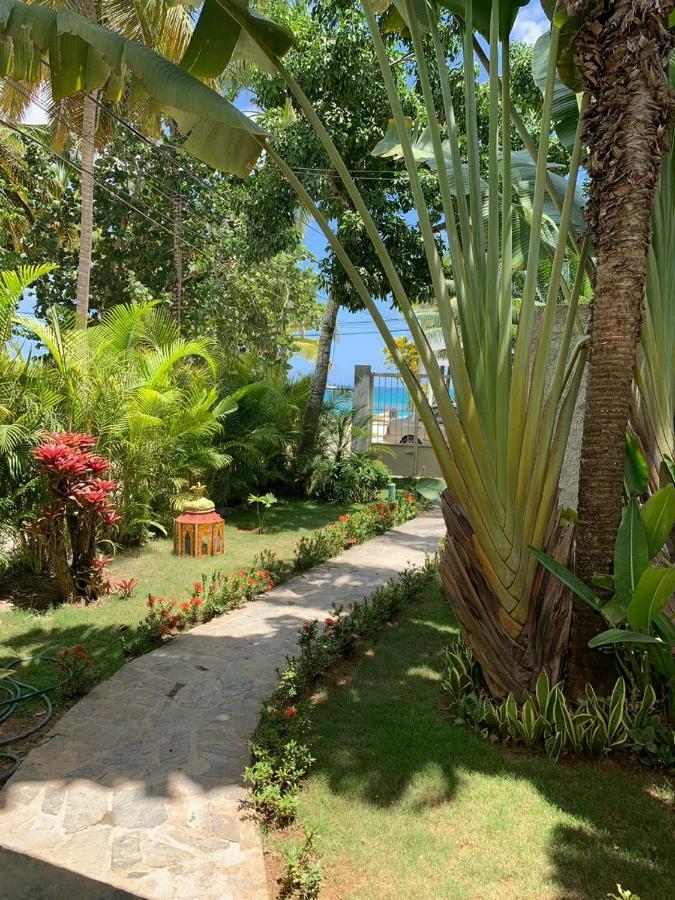 Beach Hotel Casa Nina Las Terrenas Bagian luar foto