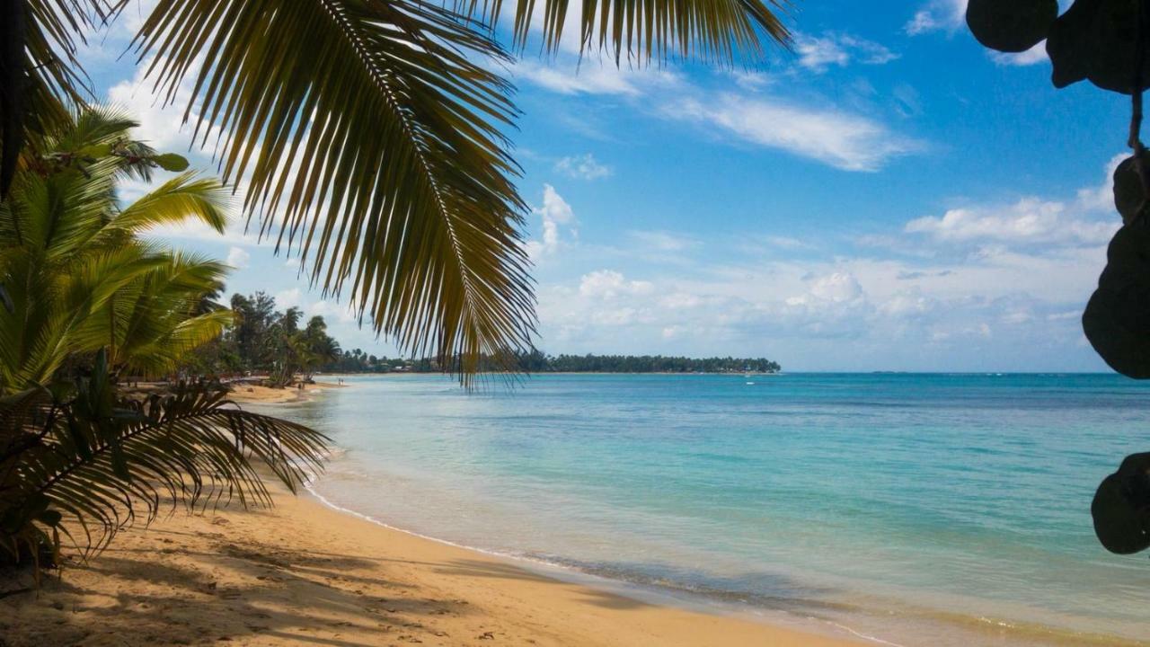 Beach Hotel Casa Nina Las Terrenas Bagian luar foto